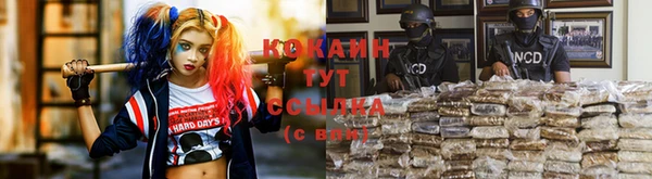 индика Медногорск