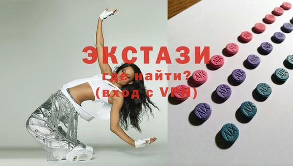 индика Медногорск