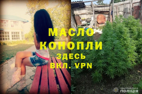 индика Медногорск
