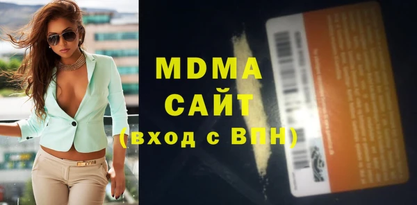 индика Медногорск