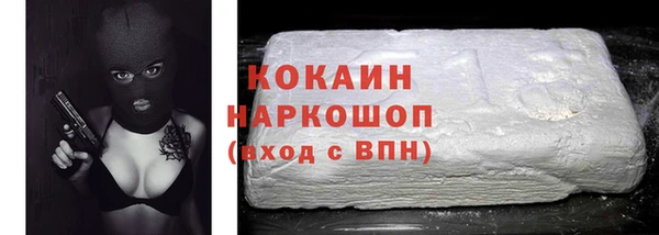 индика Медногорск