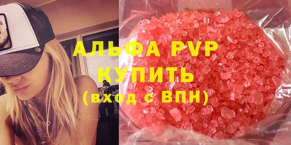 индика Медногорск