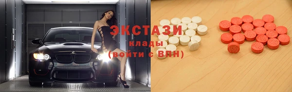 индика Медногорск