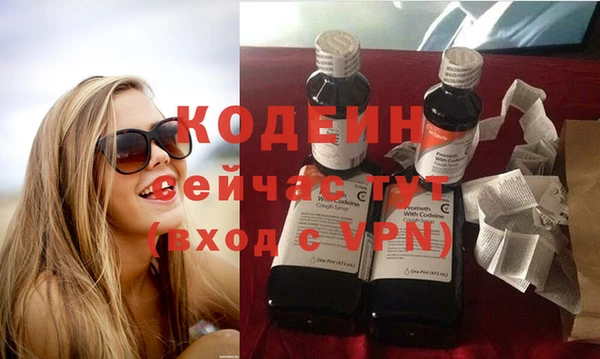 индика Медногорск