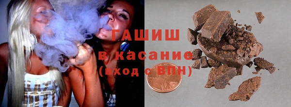 индика Медногорск