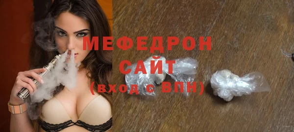 индика Медногорск