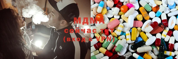 индика Медногорск