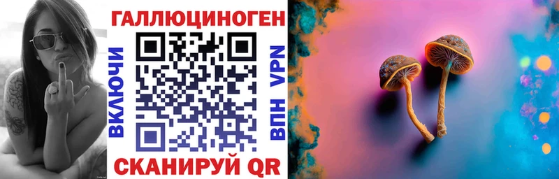 Купить где  Сатка  Галлюциногенные грибы Magic Shrooms 