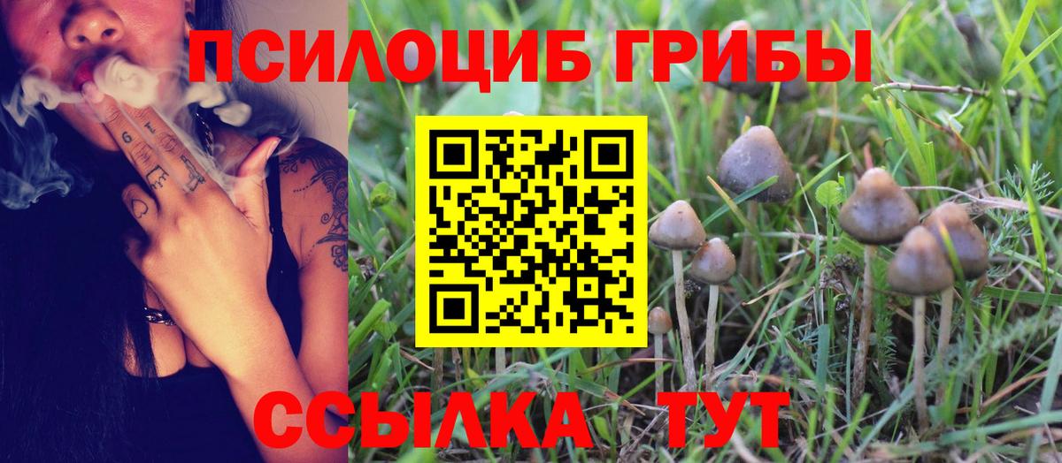 Сатка  Галлюциногенные грибы Magic Shrooms  Вход с VPN 