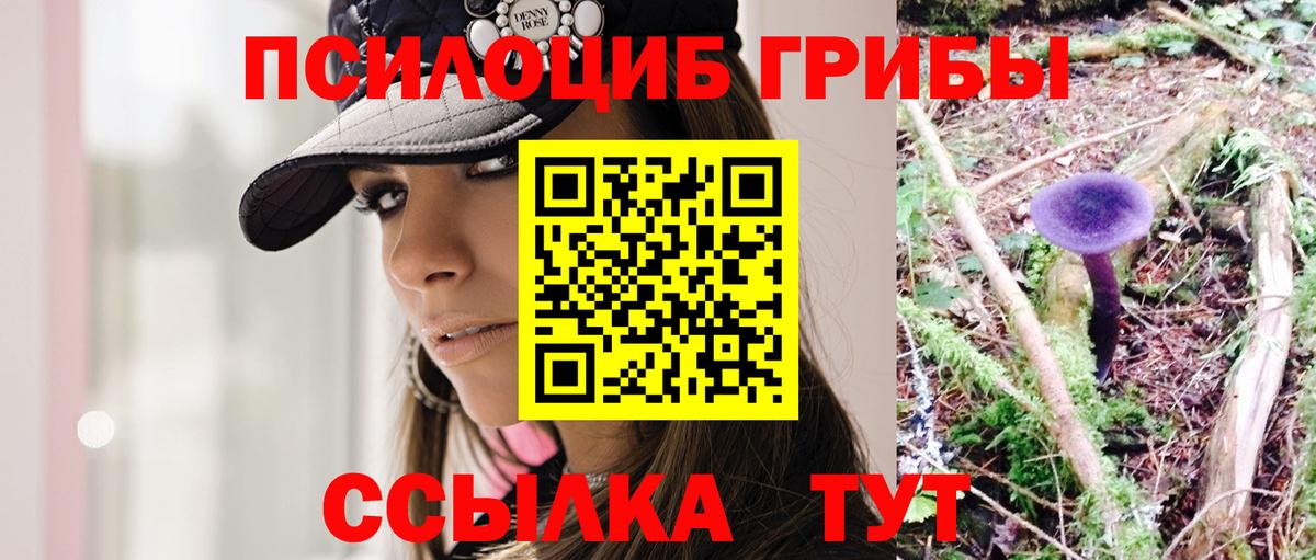 Галлюциногенные грибы Psilocybe  Сатка 