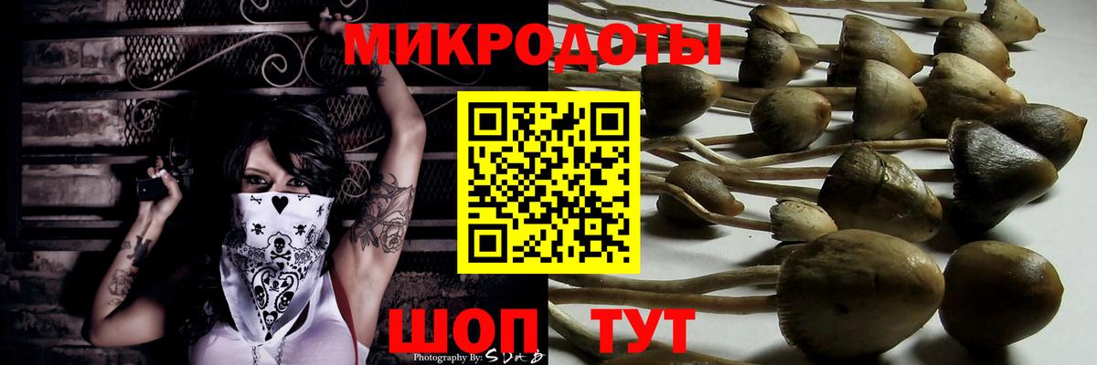 Галлюциногенные грибы Cubensis Сатка
